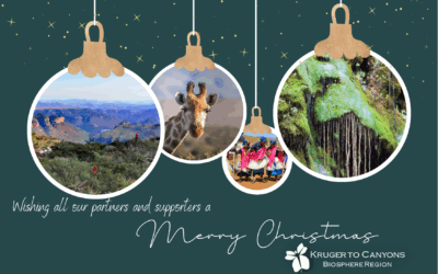 K2C Newsletter – Summer 2025