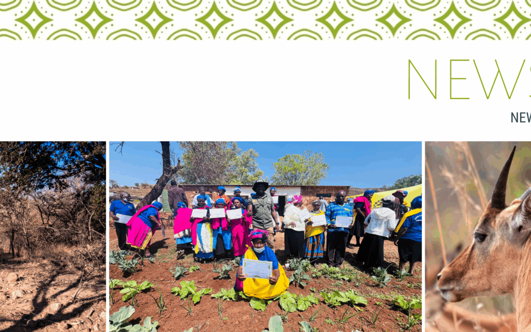 K2C Autumn 2026 Newsletter