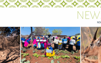 K2C Autumn 2026 Newsletter