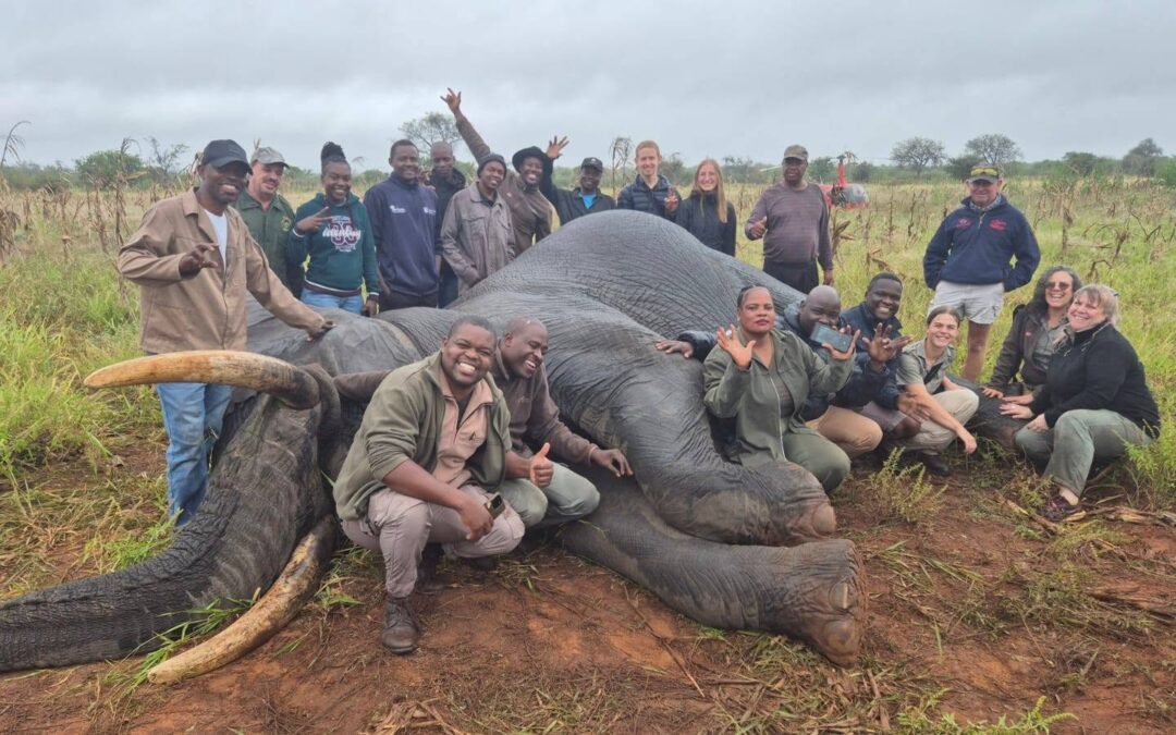 Listening, responding, adapting: Vusi Tshabalala on human-wildlife coexistence in Phalaubeni
