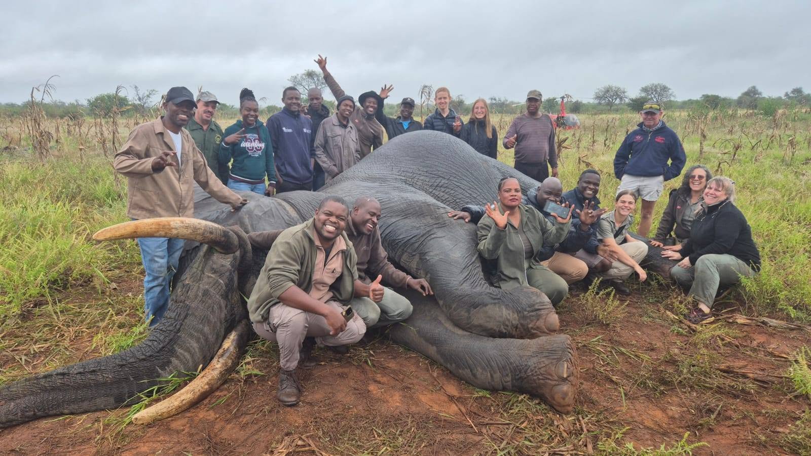 Community with collared elephant in Phalaubeni