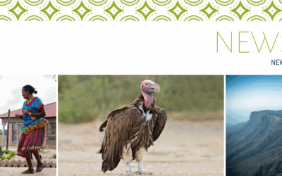 July 2026 Newsletter