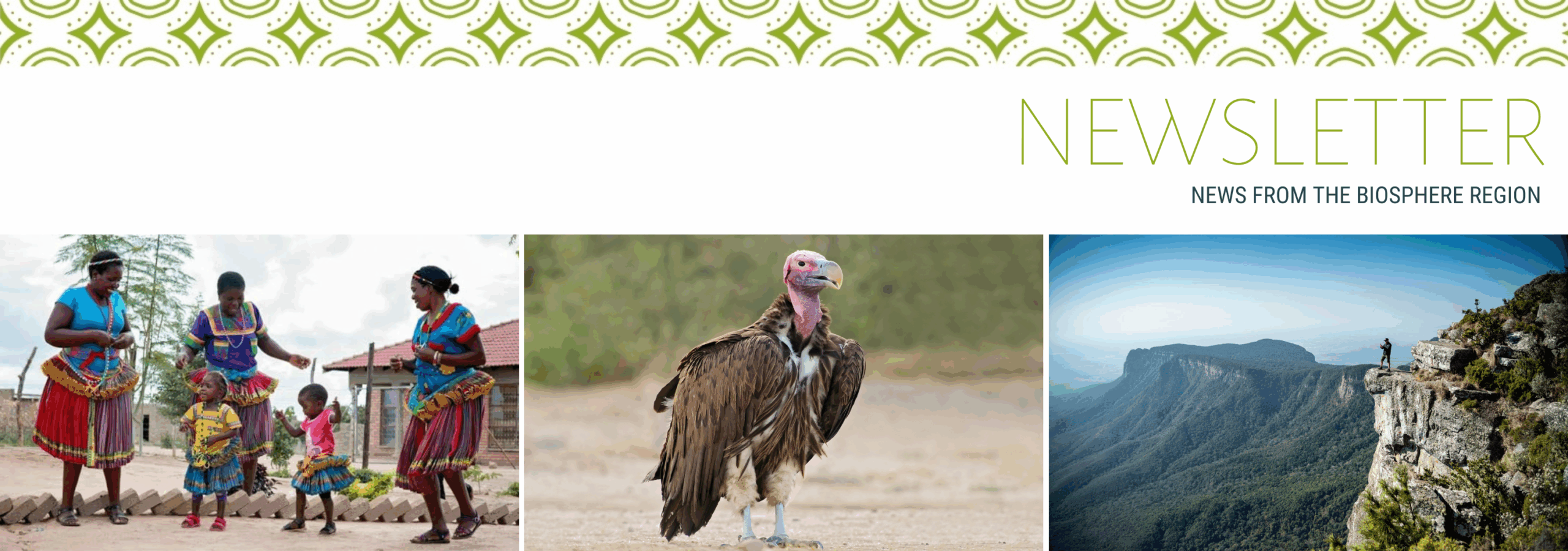 July 2026 Newsletter