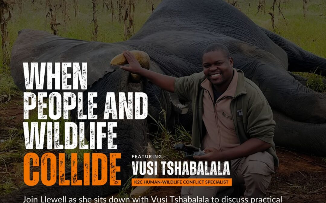 HFM Interview: Human Wildlife Conflict with Vusi Tshabalala