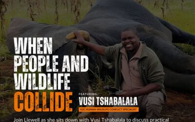 HFM Interview: Human Wildlife Conflict with Vusi Tshabalala