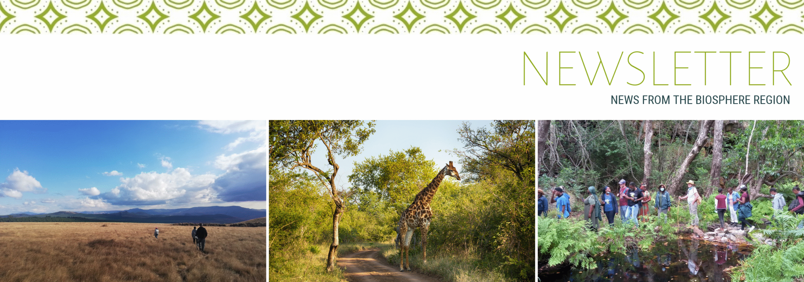 July 2026 Newsletter