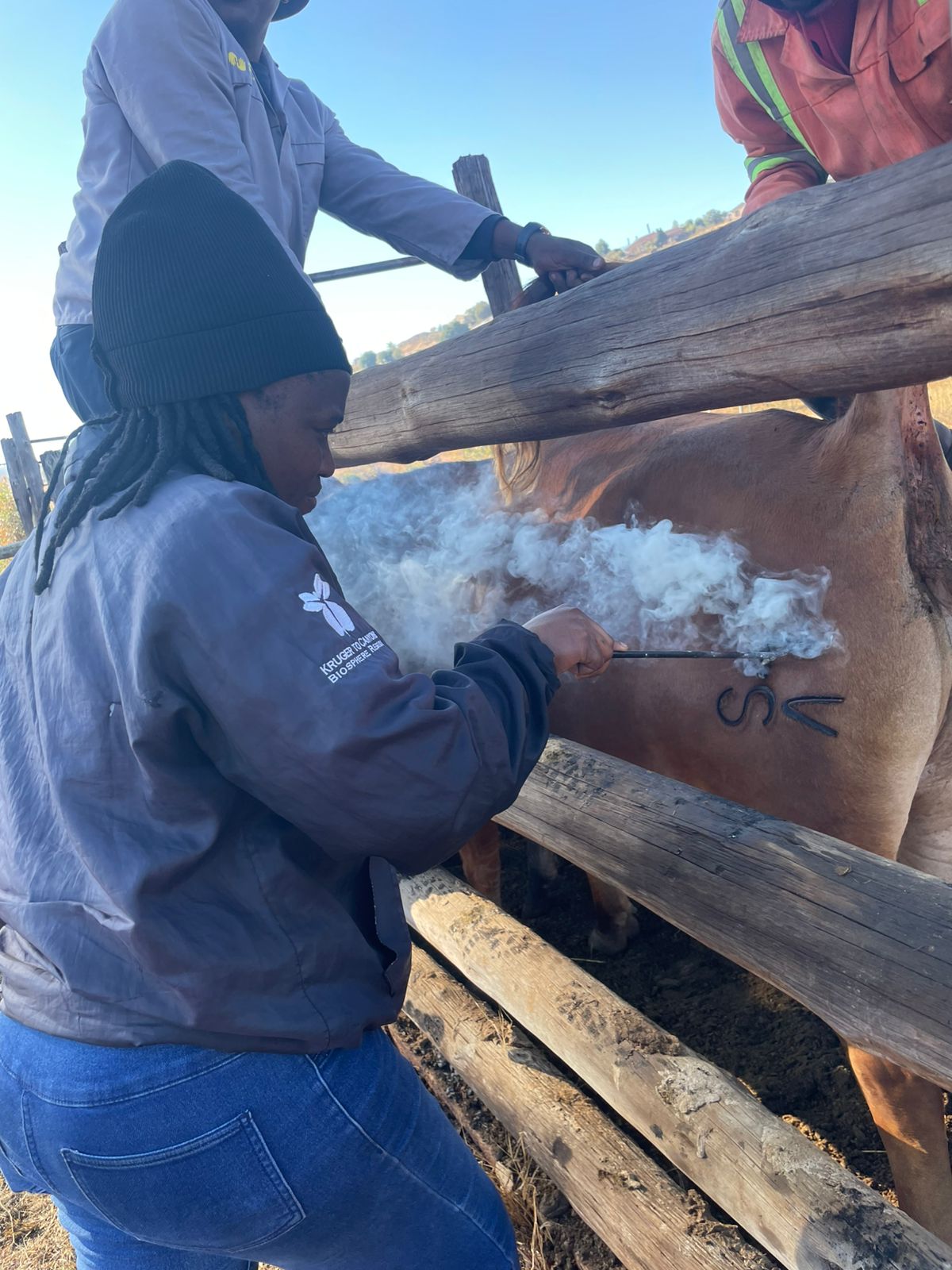Gender mainstreaming women’s roles in livestock management