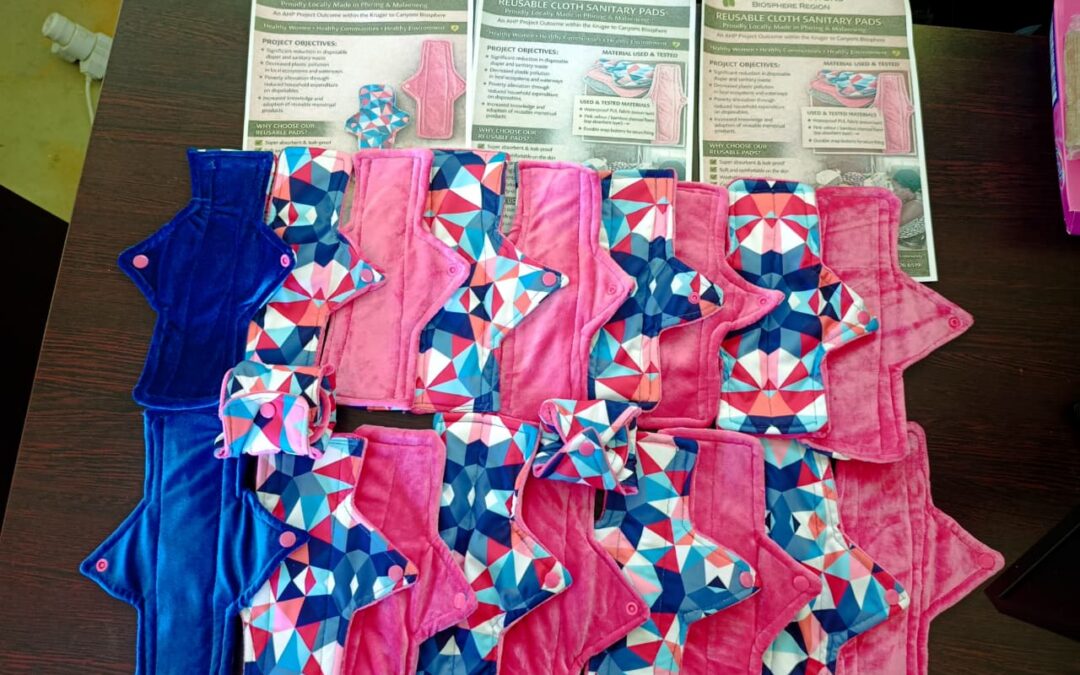 Absorbent Hygiene Product project update